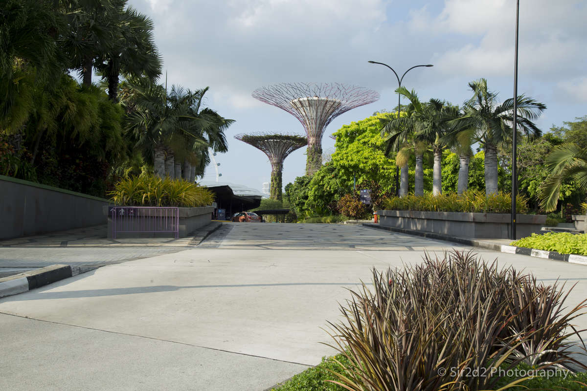 Garden by the Bay - Singapore 